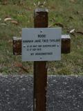image of grave number 805138